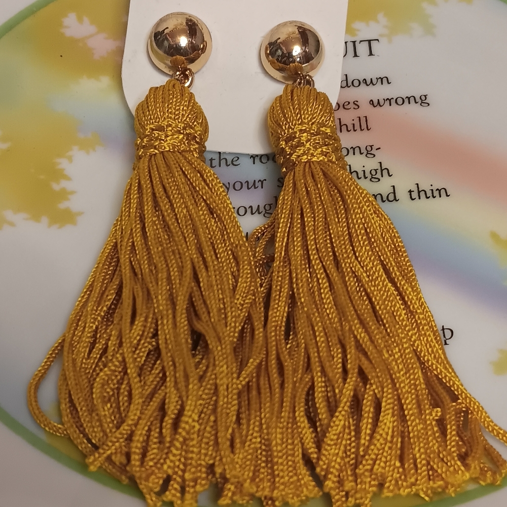 Aldo earrings